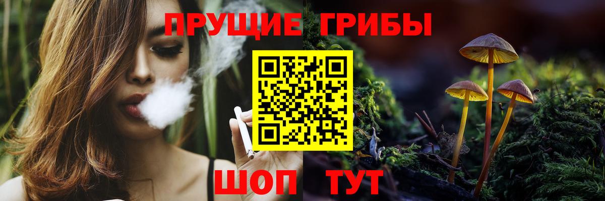 Псилоцибиновые грибы GOLDEN TEACHER  Псилоцибиновые грибы Magic Shrooms  Вход с VPN  Тимашёвск 
